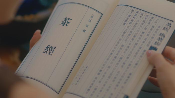 茶葉品牌短視頻拍攝制作中