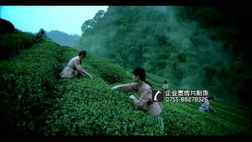 天圃-茶葉品牌文化宣傳片（導(dǎo)演推介版本） - 深圳拍攝品牌宣傳片 - 深圳映畫傳媒